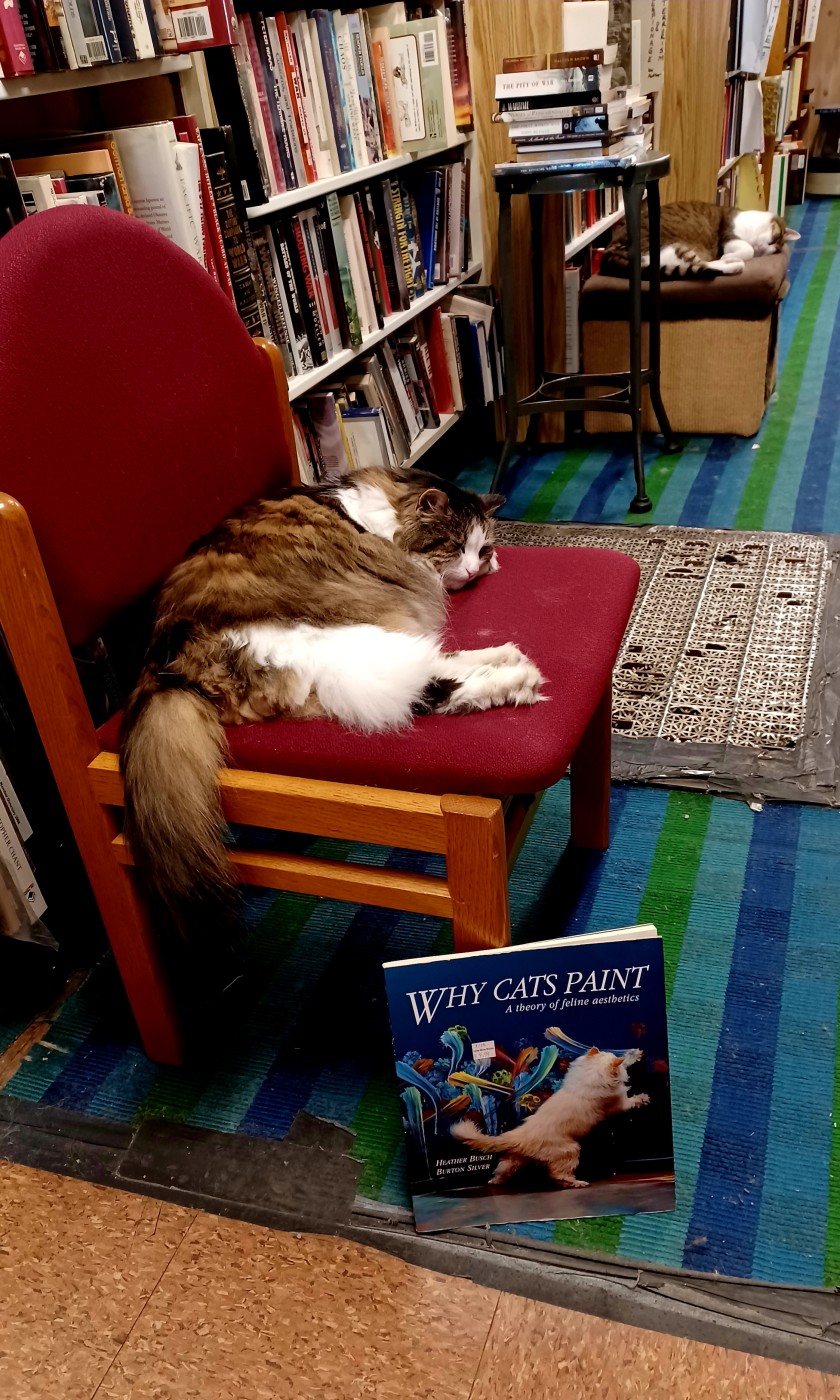 why-cats-paint.jpg