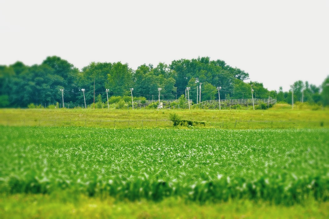 baer field abandoned