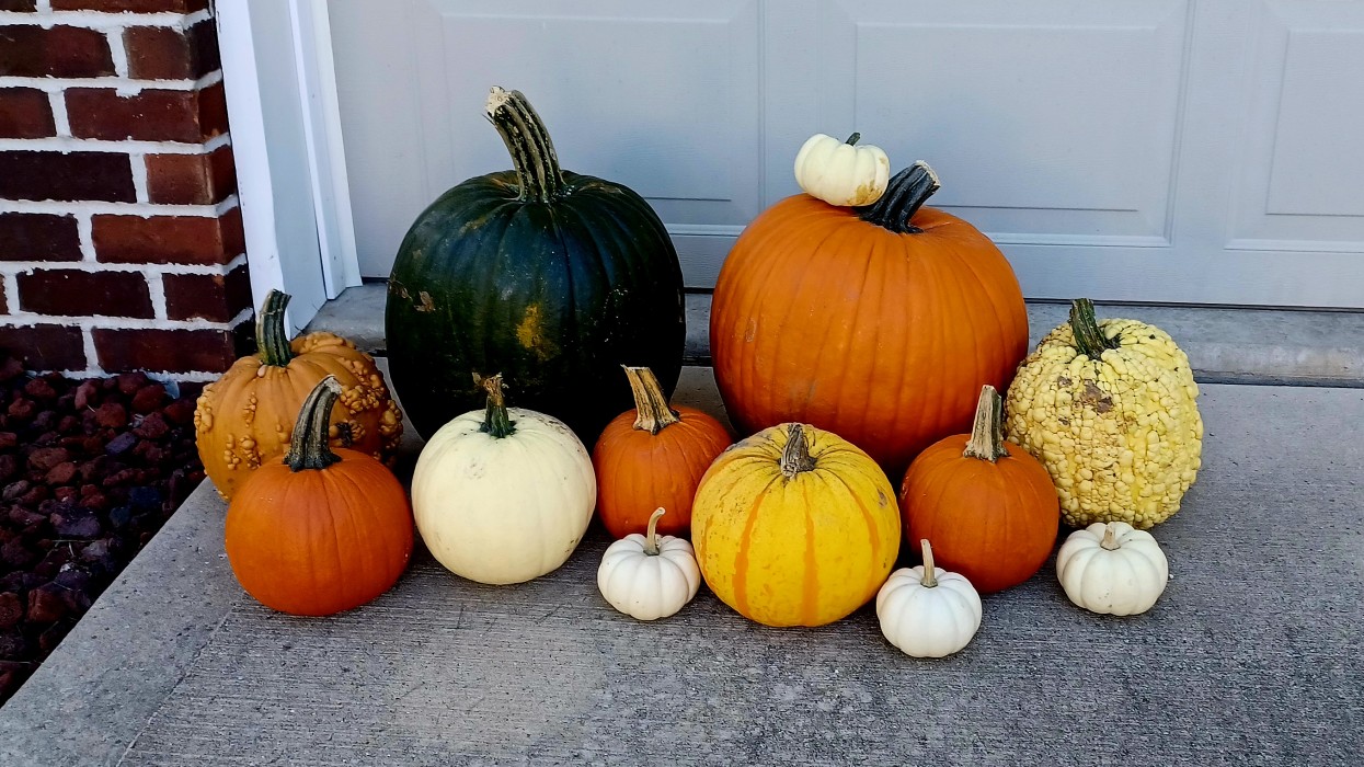 Pumpkin Orgy 2026